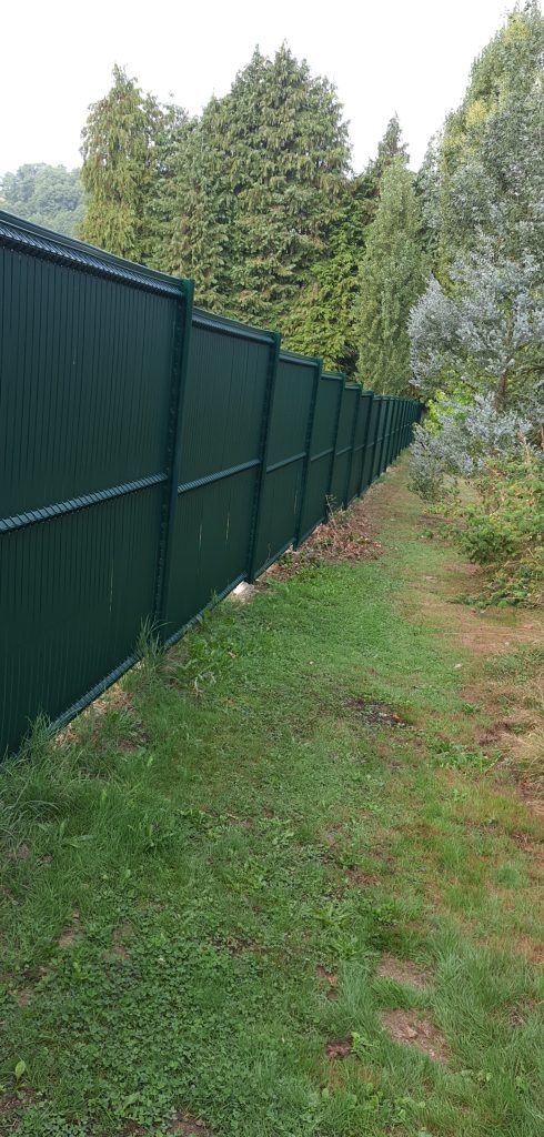 Snapchat-1127480105-490x1024